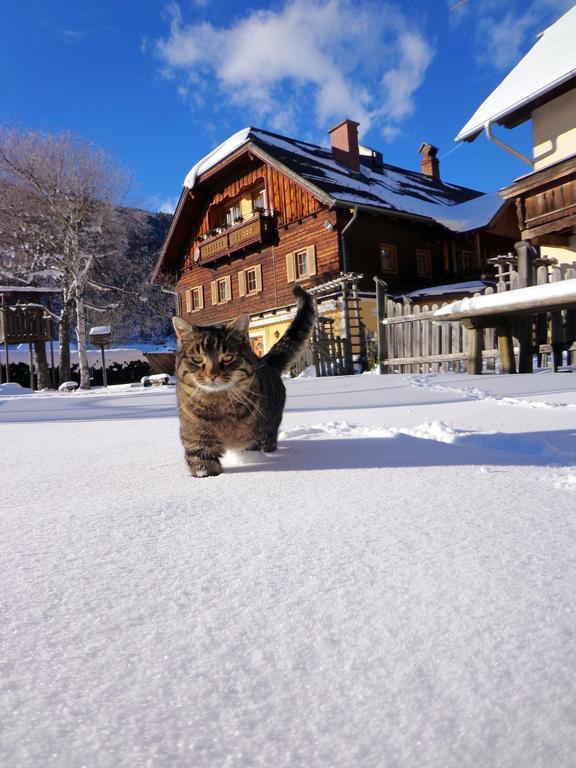 Gut Neusess Villa Mauterndorf  Exteriör bild
