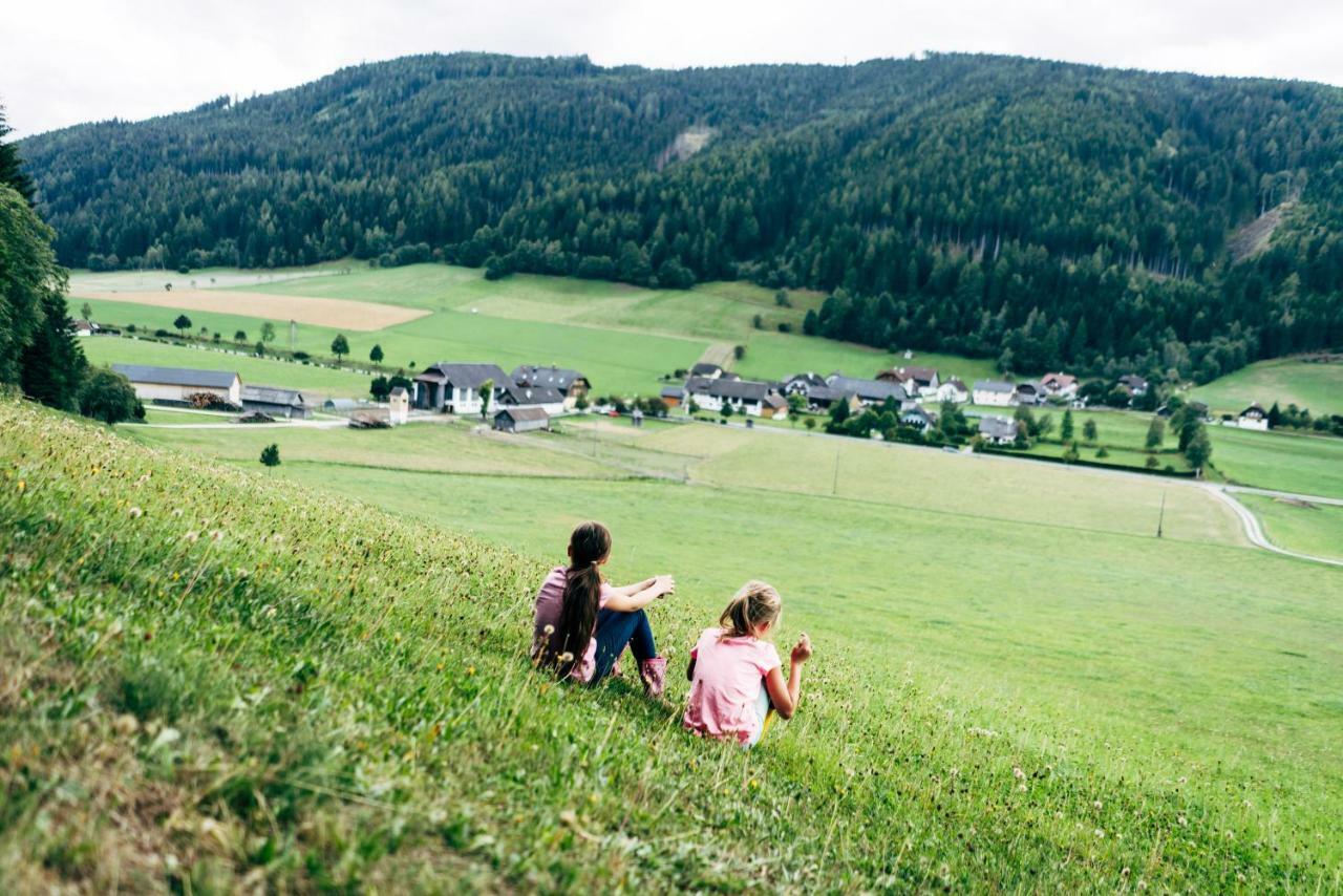 Gut Neusess Villa Mauterndorf  Exteriör bild